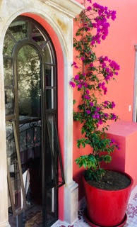 Bougianvillea