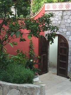 Bougianvillea